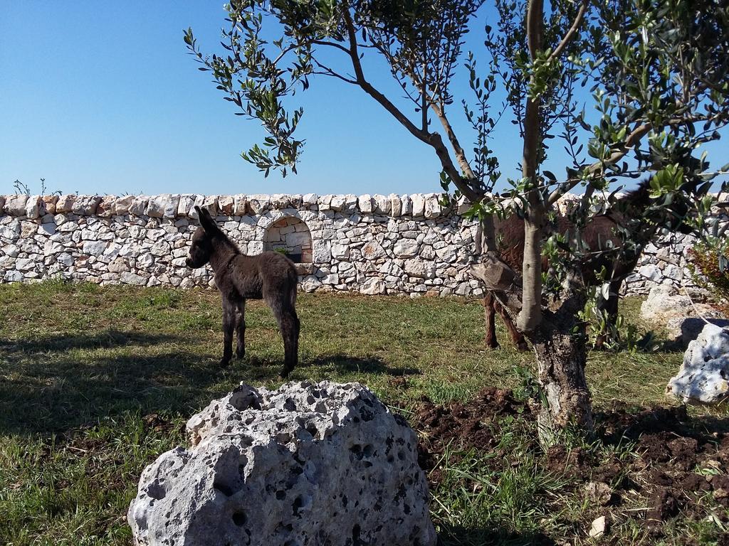 Agriturismo Masseria Casedde Vecchie Villa Martina Franca Exterior foto